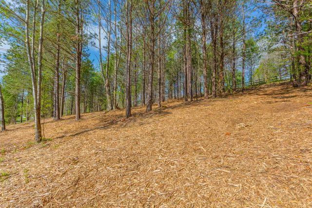 19 Turkey, Flintstone, GA 30725