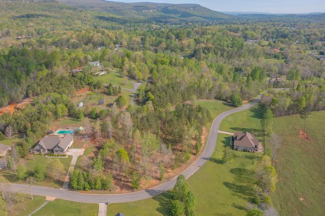 19 Turkey, Flintstone, GA 30725