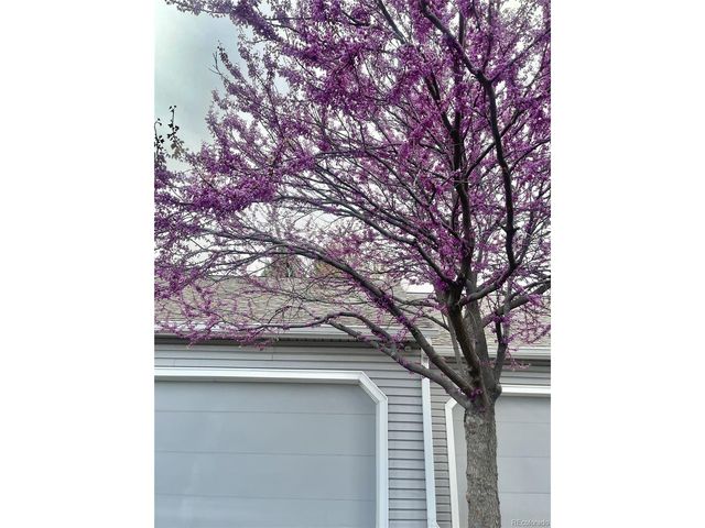 13703 E Marina Dr A, Aurora, CO 80014