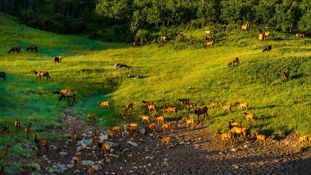 Quarter Circle Lazy B Ranch, Big Horn, WY 82833 photo 46