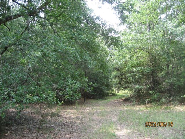 0 Round Up Road, Waller, TX 77484