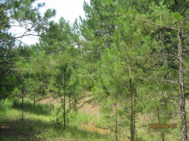 0 Round Up Road, Waller, TX 77484