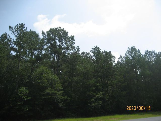 0 Round Up Road, Waller, TX 77484