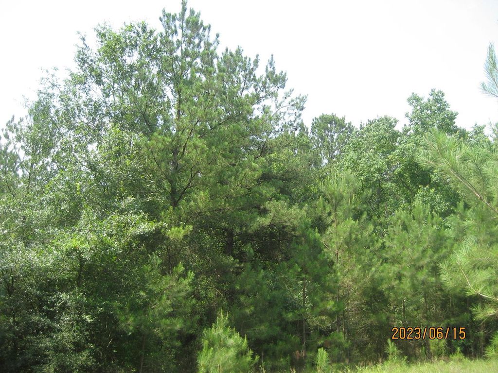 0 Round Up Road, Waller, TX 77484