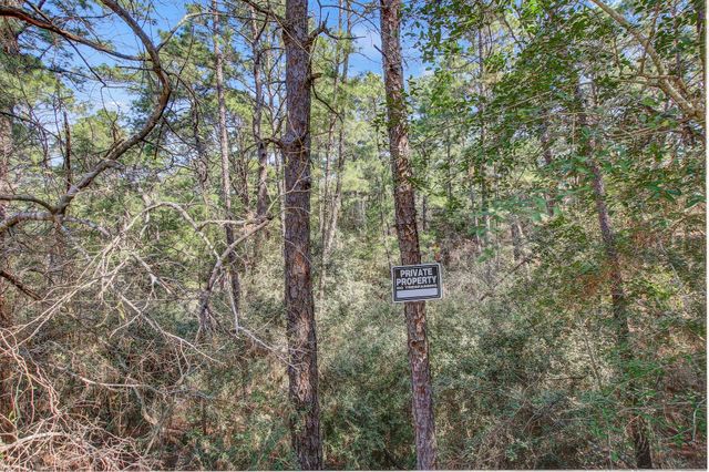 TBD2 Kaanapali LN, Bastrop, TX 78602
