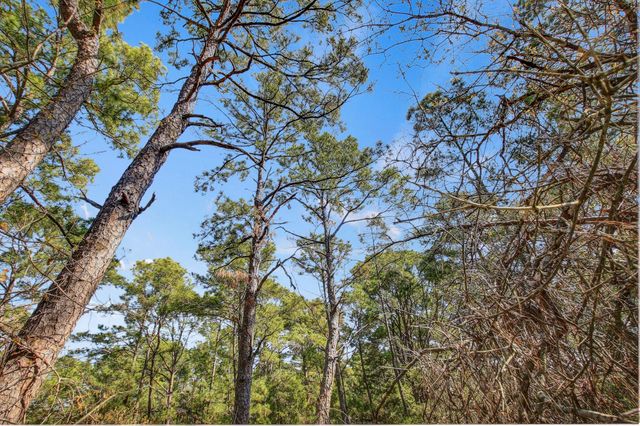 TBD2 Kaanapali LN, Bastrop, TX 78602