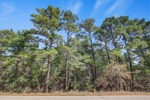 TBD2 Kaanapali LN, Bastrop, TX 78602