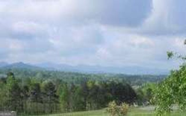 LOT 117 Owen Glen Drive, Blairsville, GA 30512