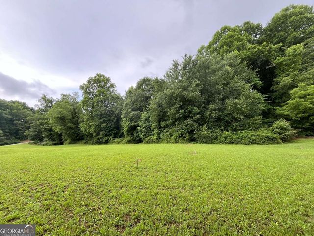 LOT 117 Owen Glen Drive, Blairsville, GA 30512