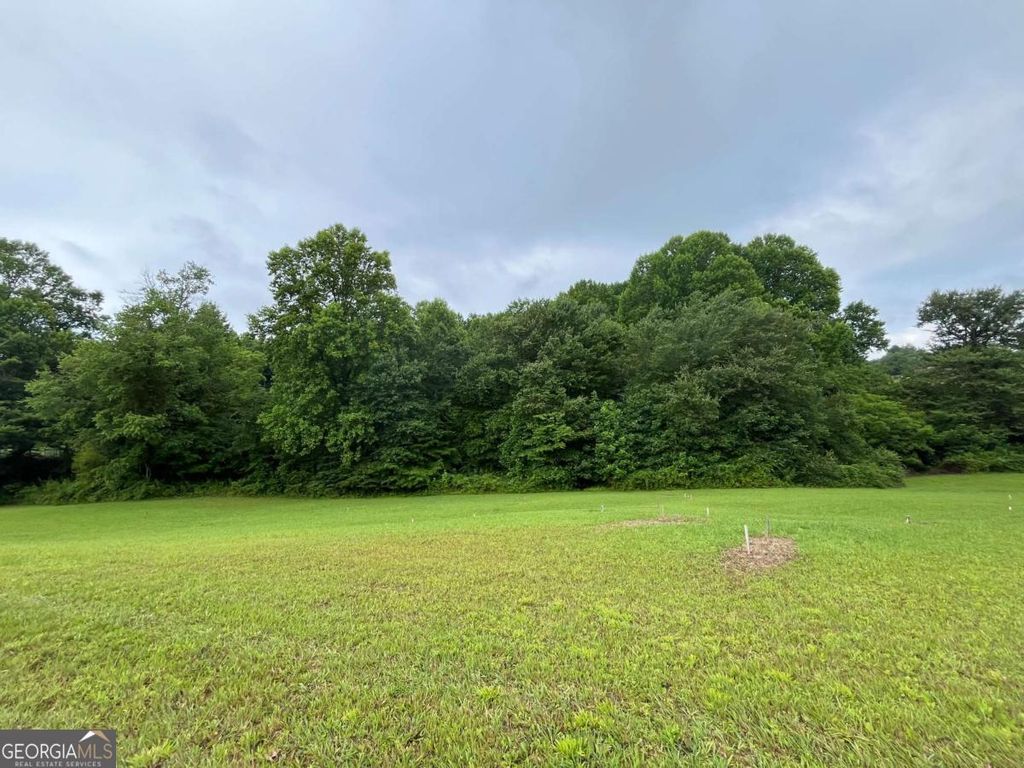 LOT 117 Owen Glen Drive, Blairsville, GA 30512