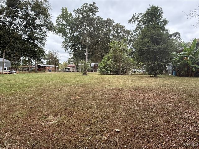 470 Roebucks Landing Road, Akron, AL 35441