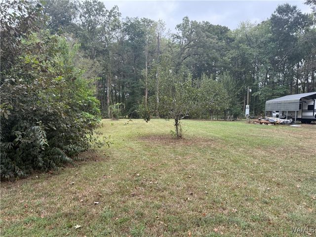 470 Roebucks Landing Road, Akron, AL 35441