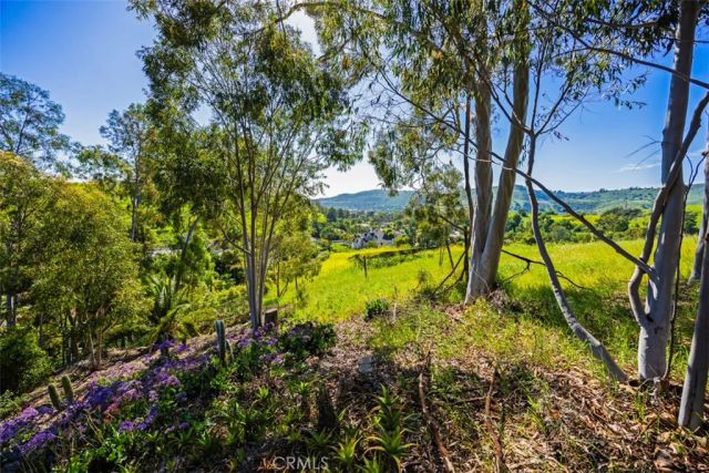 26841 Windsor Drive, San Juan Capistrano, CA 92675