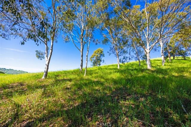 26841 Windsor Drive, San Juan Capistrano, CA 92675