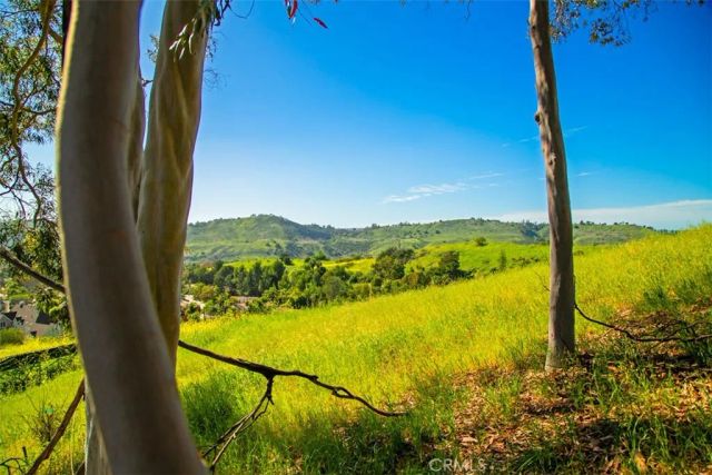 26841 Windsor Drive, San Juan Capistrano, CA 92675