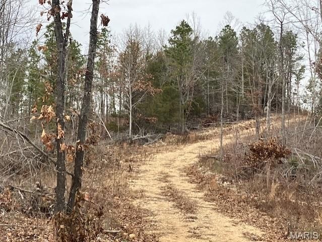 185 Madison CR 410, Fredericktown, MO 63645