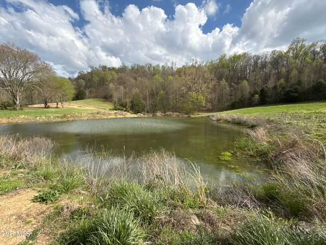 12315 Warrensburg Road, Midway, TN 37809