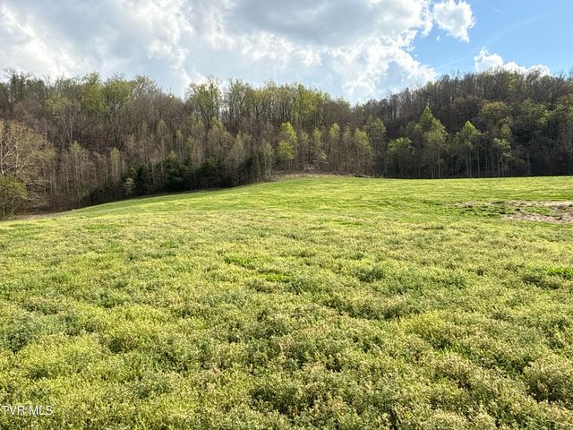 12315 Warrensburg Road, Midway, TN 37809