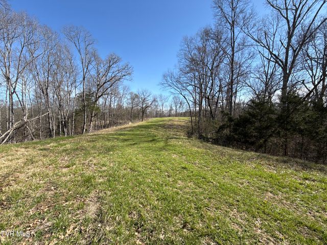 12315 Warrensburg Road, Midway, TN 37809