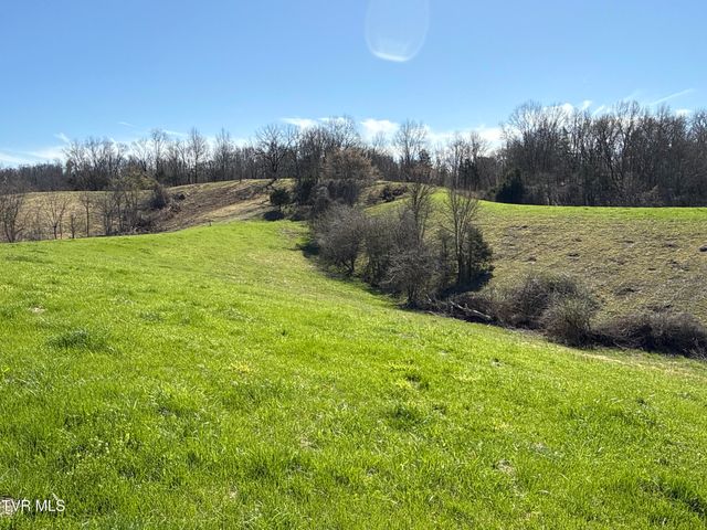 12315 Warrensburg Road, Midway, TN 37809
