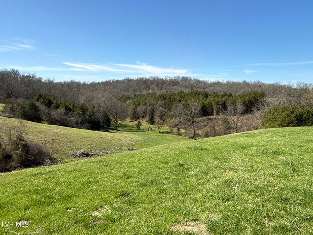 12315 Warrensburg Road, Midway, TN 37809
