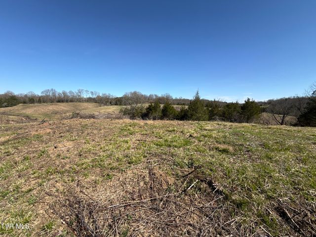 12315 Warrensburg Road, Midway, TN 37809