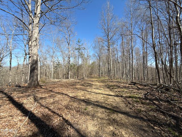 12315 Warrensburg Road, Midway, TN 37809