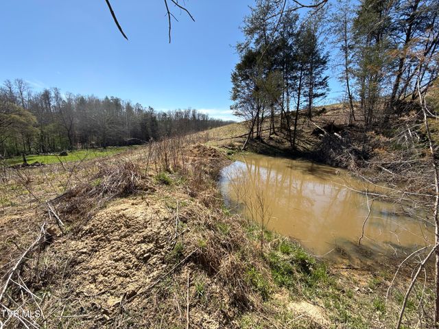 12315 Warrensburg Road, Midway, TN 37809