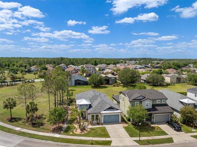 4501 ROLLING GREEN DRIVE, Wesley Chapel, FL 33543