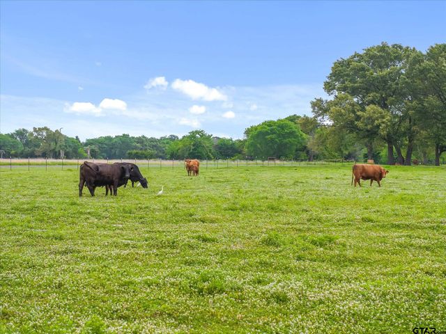 501 Private Road 5120, Fruitvale, TX 75127