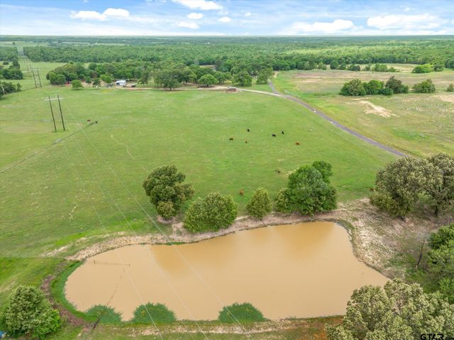 501 Private Road 5120, Fruitvale, TX 75127