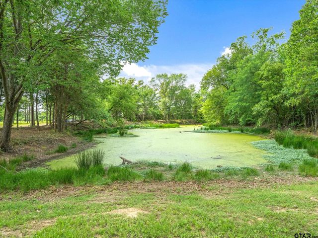 501 Private Road 5120, Fruitvale, TX 75127
