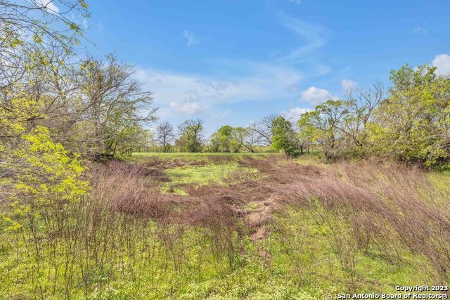 16547 E GABLE RD, St Hedwig, TX 78152
