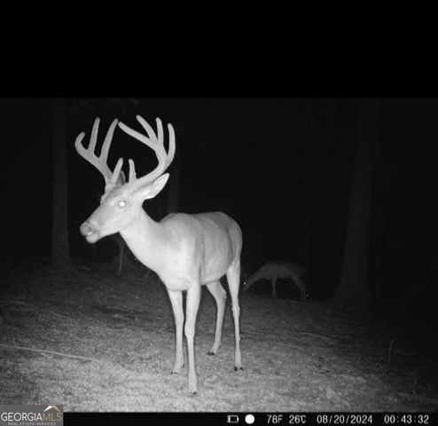 424 Cable Road, Waleska, GA 30183