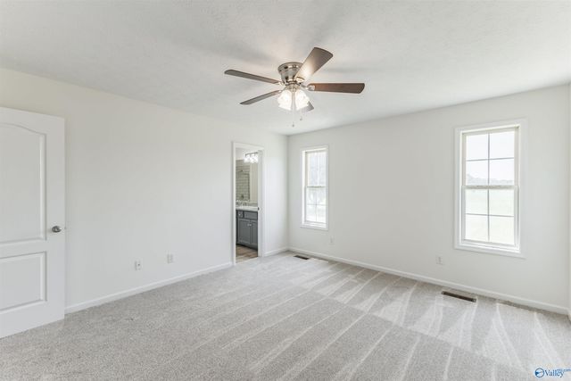 28768 Dorning Road, Toney, AL 35773