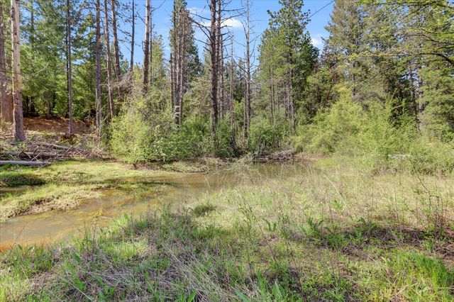 16454 State Highway 49, Camptonville, CA 95922