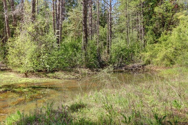 16454 State Highway 49, Camptonville, CA 95922