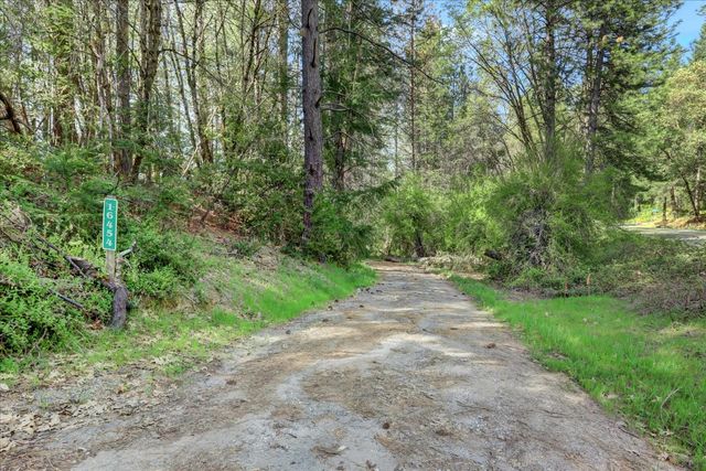 16454 State Highway 49, Camptonville, CA 95922