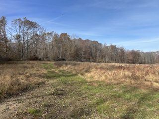 0 Off Sulphur Creek Rd, Big Sandy, TN 38221
