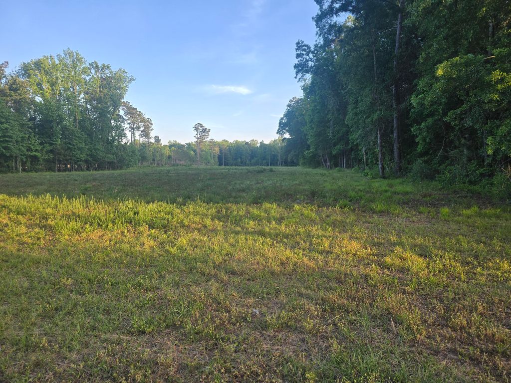 00 Central Avenue, Summerville, SC 29483