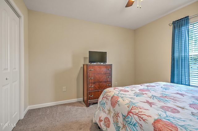 134 May Apple Drive, Bluff City, TN 37618