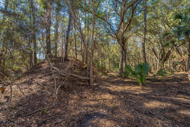 4066 Gnarled Oaks Lane, Johns Island, SC 29455