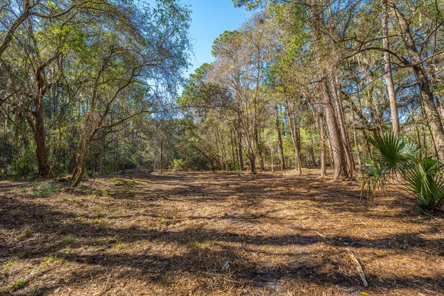 4066 Gnarled Oaks Lane, Johns Island, SC 29455