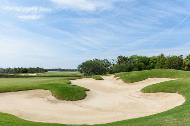 4066 Gnarled Oaks Lane, Johns Island, SC 29455