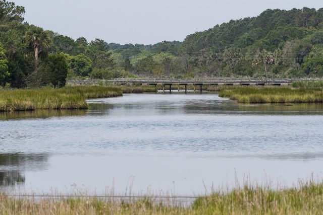 4066 Gnarled Oaks Lane, Johns Island, SC 29455