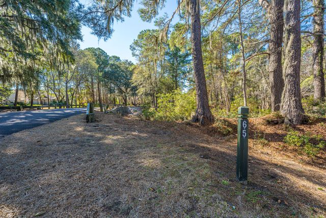 4066 Gnarled Oaks Lane, Johns Island, SC 29455