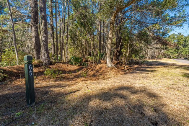 4066 Gnarled Oaks Lane, Johns Island, SC 29455