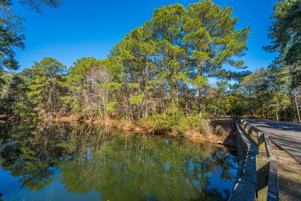 Image 11 of property listing at 4066 Gnarled Oaks Lane, Johns Island, SC 29455
