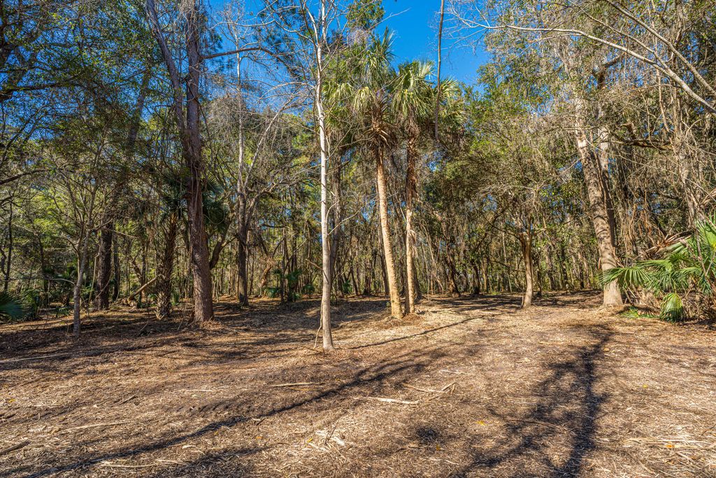 Image 13 of property listing at 4066 Gnarled Oaks Lane, Johns Island, SC 29455