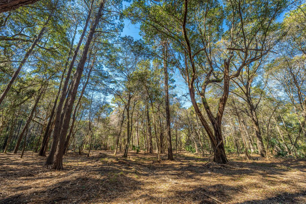 Image 15 of property listing at 4066 Gnarled Oaks Lane, Johns Island, SC 29455